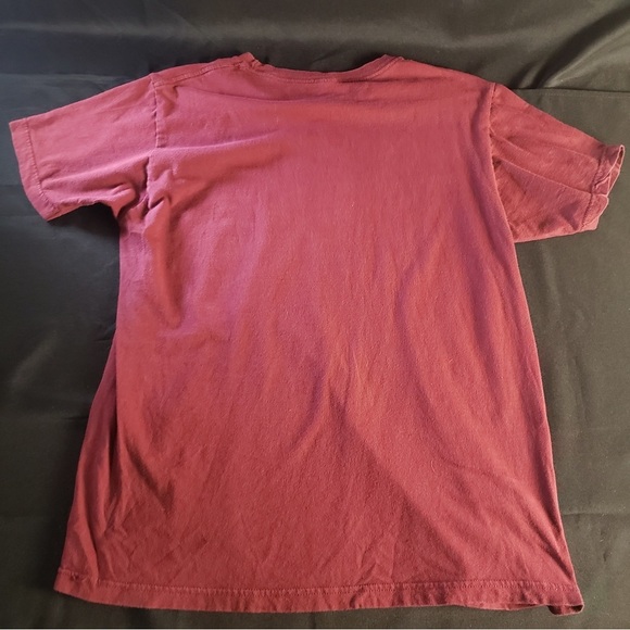 RipCurl Short Sleeve Graphic Standar Fit T-Shirt Men’s‎ Medium - Picture 2 of 4